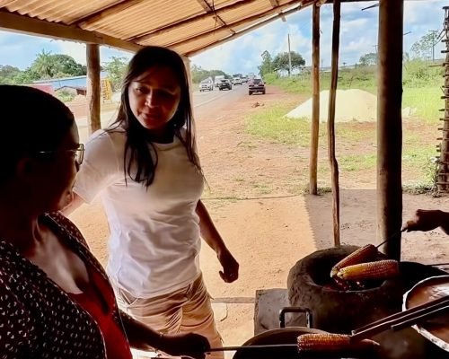 Projeto político de Eliziane respira com ajuda de aparelhos