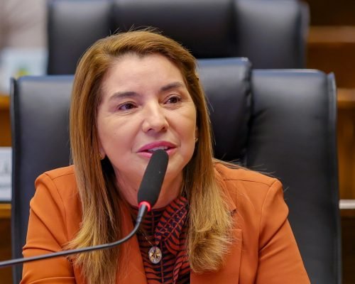 “Partido se faz é com gente, com político e com voto. E isso nós temos”, afirma Iracema Vale sobre PSB