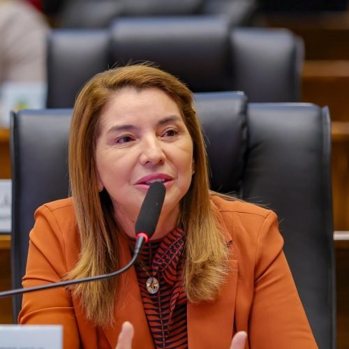 “Partido se faz é com gente, com político e com voto. E isso nós temos”, afirma Iracema Vale sobre PSB