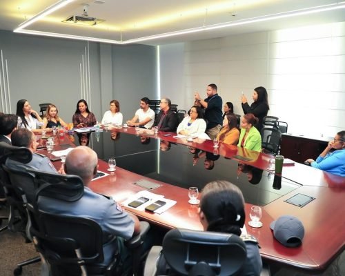 Iracema Vale recebe instituições em reunião de agradecimento pela defesa e proteção das mulheres