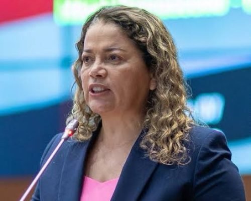 Deputada Mical Damasceno ainda não se manifestou sobre agressões machistas