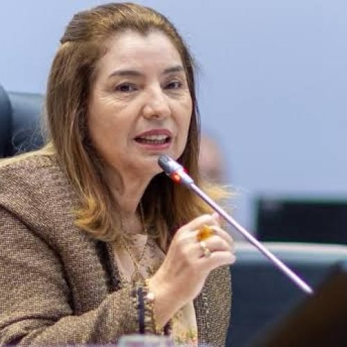 Presidente Iracema Vale denuncia graves irregularidades da Suzano na Região Tocantina e cobra respeito às famílias atingidas
