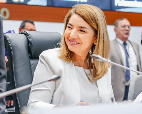 Aliados de Camarão confundem análise com torcida sobre filiação de Iracema ao MDB