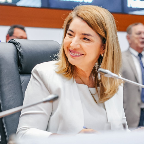 Aliados de Camarão confundem análise com torcida sobre filiação de Iracema ao MDB